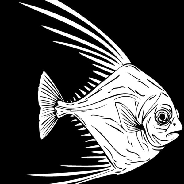 african pompano Thumbnail