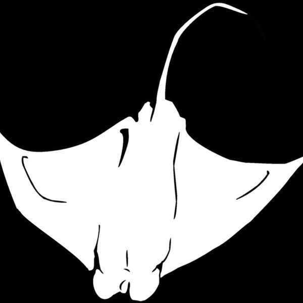 eagleray01 Thumbnail