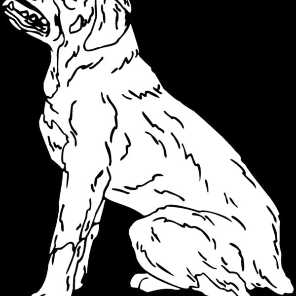 rottweiler Thumbnail