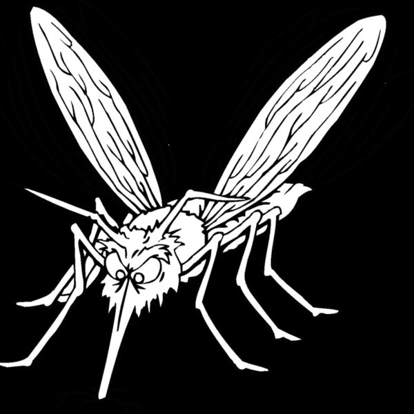 mosquito Thumbnail