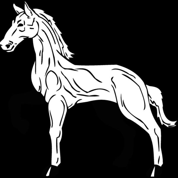horse3 Thumbnail