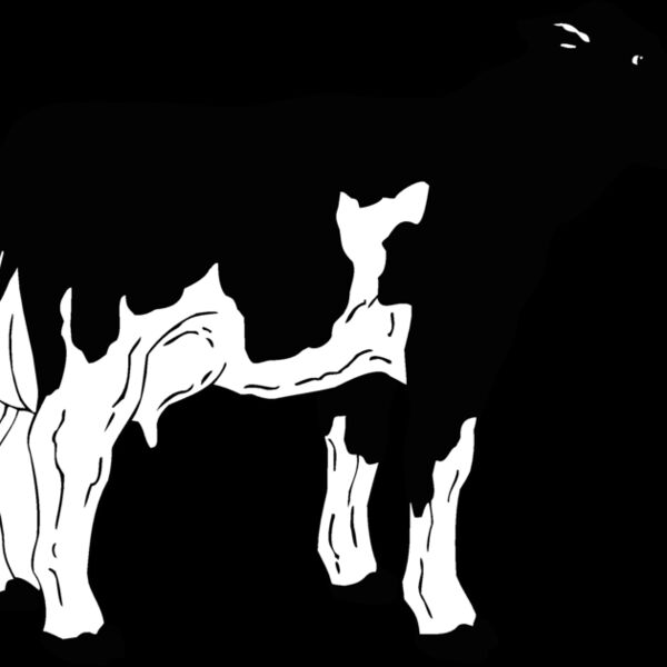 cow3 Thumbnail