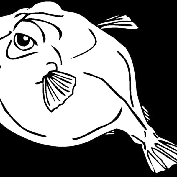 pufferfish Thumbnail