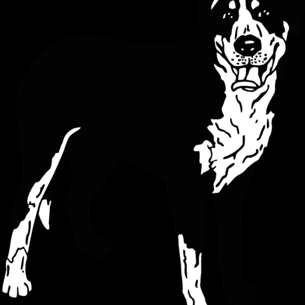 greater swiss mountain dog Thumbnail