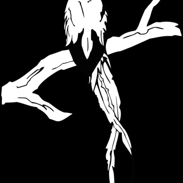 resplendent quetzal Thumbnail