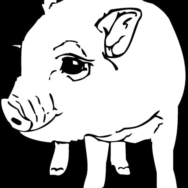 potbellypig Thumbnail