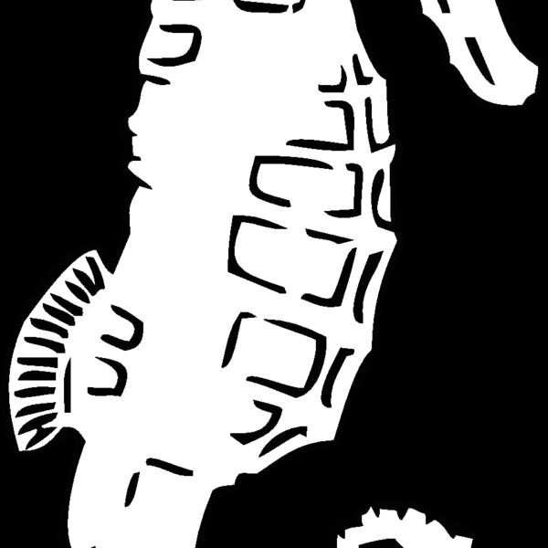 seahorse Thumbnail