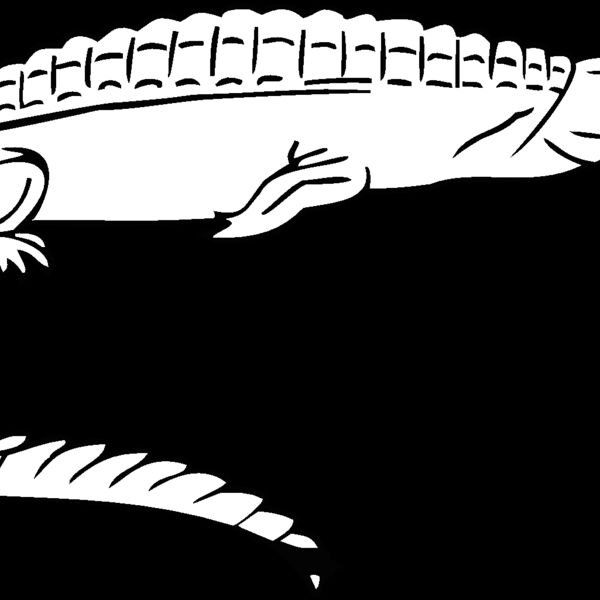 teleosaurus Thumbnail