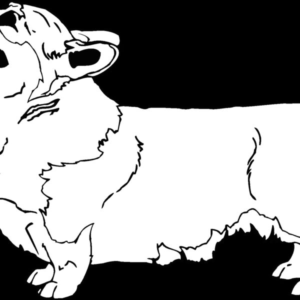 pembroke welsh corgi Thumbnail