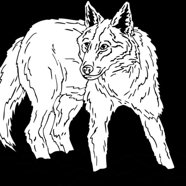 coyote8 Thumbnail