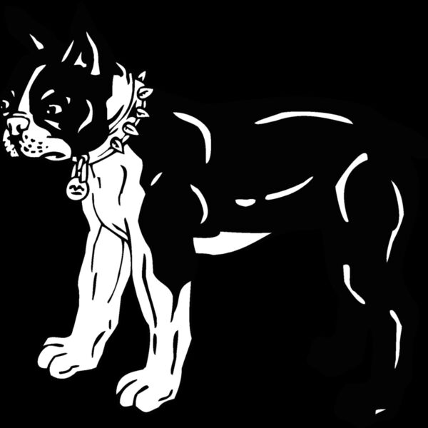 boston terrier Thumbnail