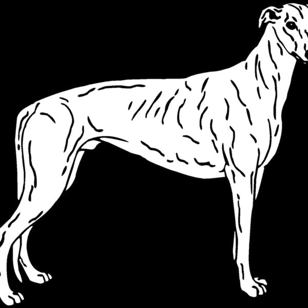 greyhound Thumbnail