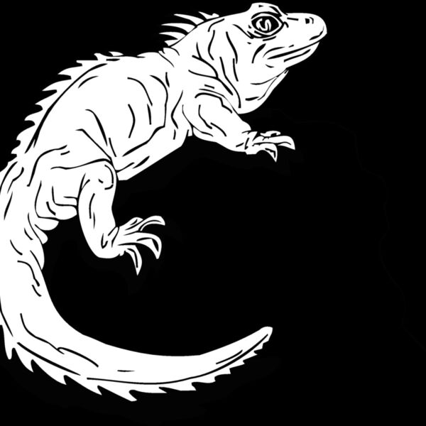 iguana Thumbnail