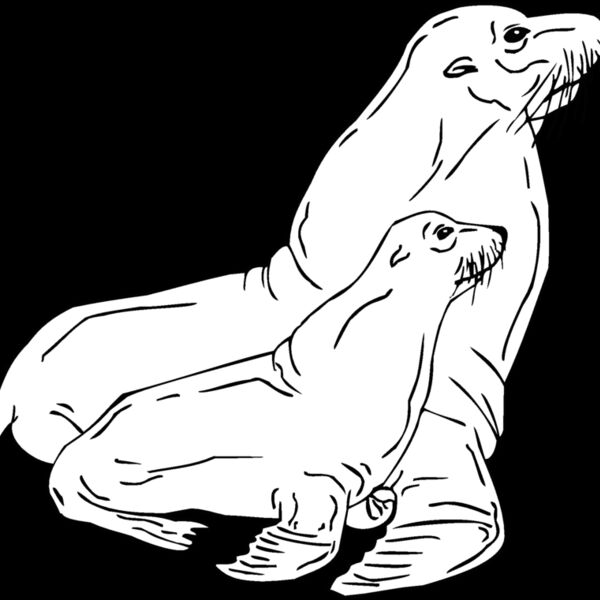 seals Thumbnail