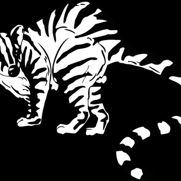 palmcivet Thumbnail