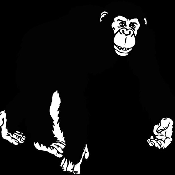 chimpanzee Thumbnail