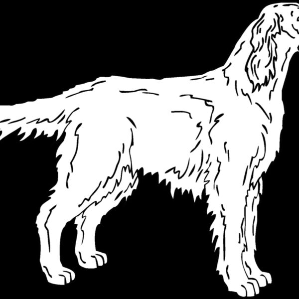 irish setter 2 Thumbnail