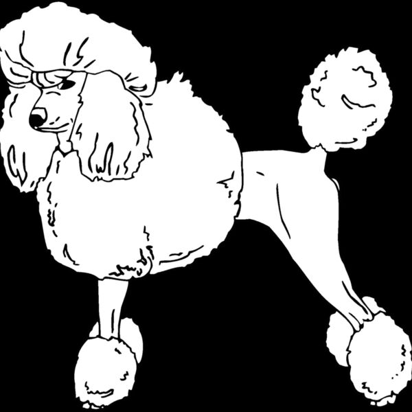 poodle Thumbnail