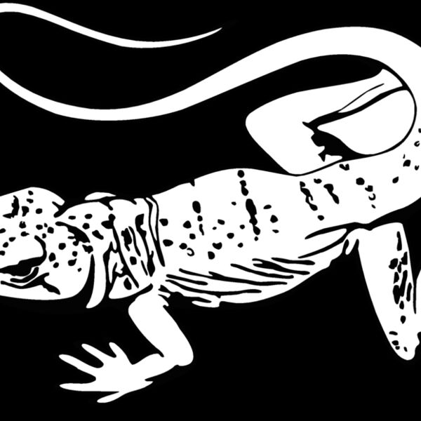 desertlizard Thumbnail