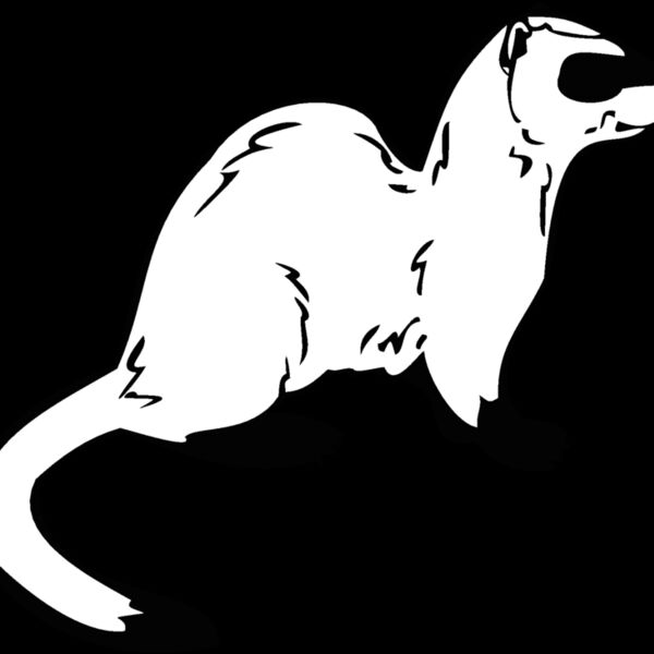 ferret Thumbnail
