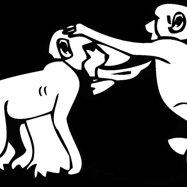 babybaboons Thumbnail