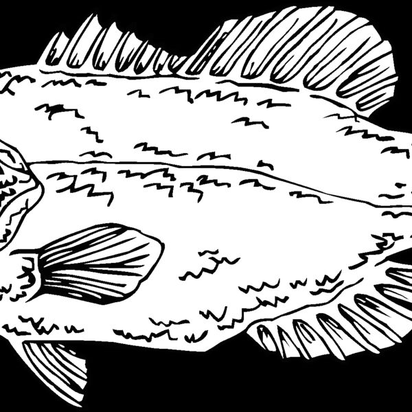 largemouthbass Thumbnail