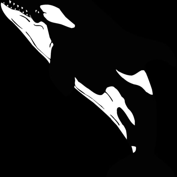 killerwhale01 Thumbnail