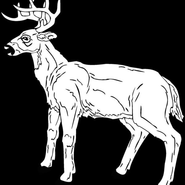deer 7 Thumbnail