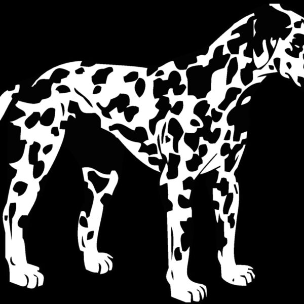 dalmation Thumbnail