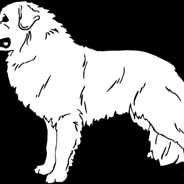great pyrenees Thumbnail