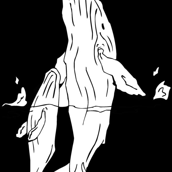 humpback whale Thumbnail