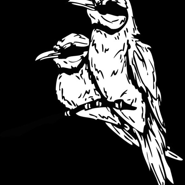two birds Thumbnail