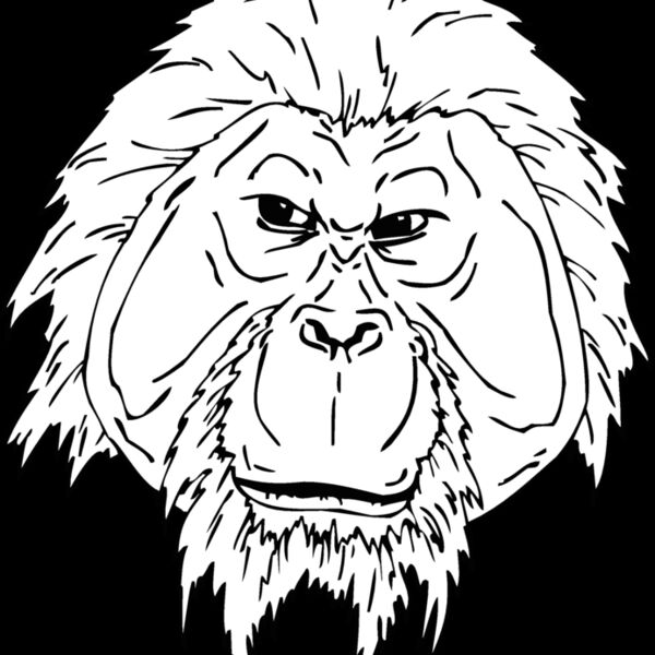 orangutan3 Thumbnail