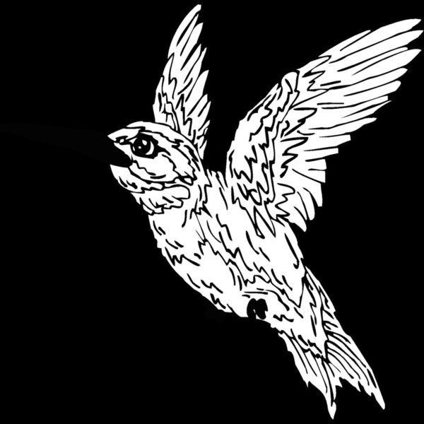 hummingbird1 Thumbnail