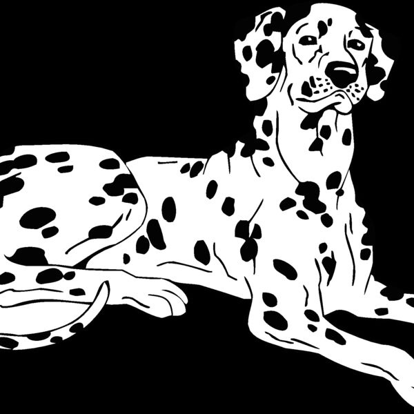 dalmatio Thumbnail