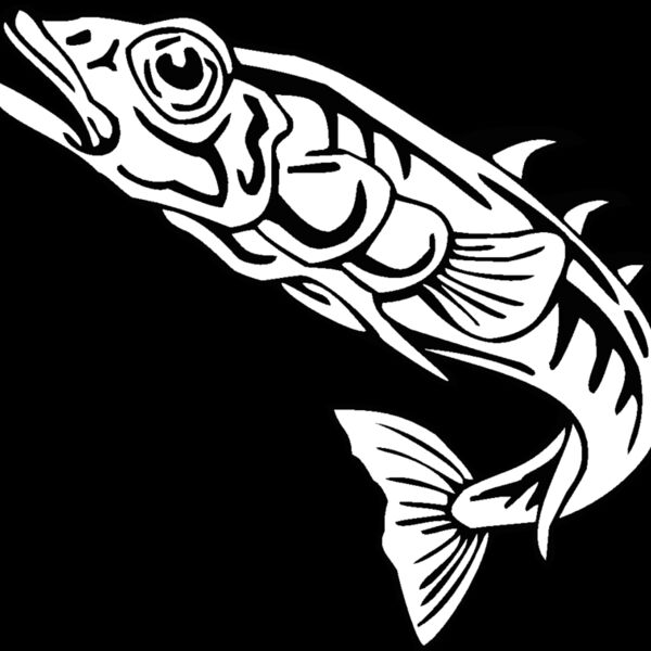 stickleback Thumbnail