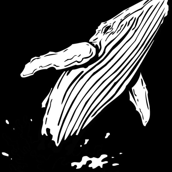whale2 Thumbnail