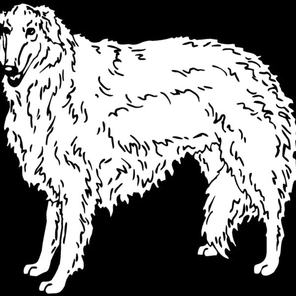 borzoi Thumbnail