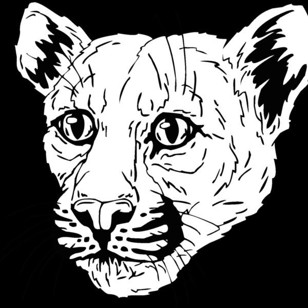 cougar2 Thumbnail