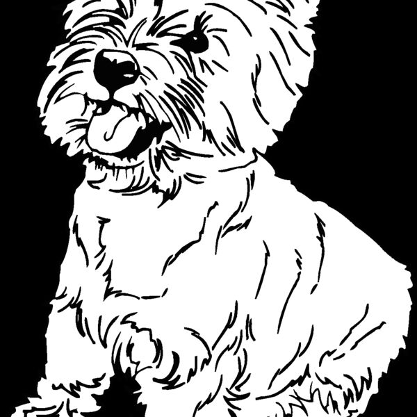 highland terrier Thumbnail