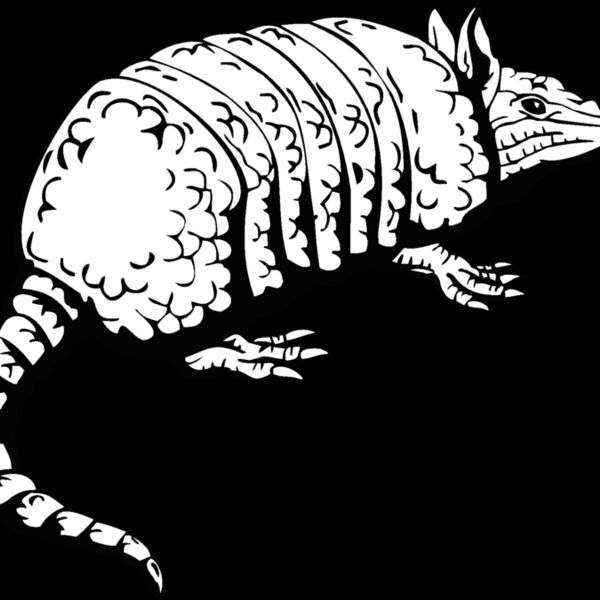 armadillo1 Thumbnail