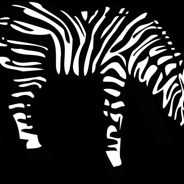 zebra3 Thumbnail