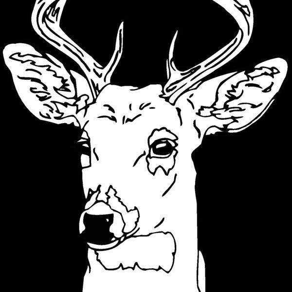 deer 6 Thumbnail
