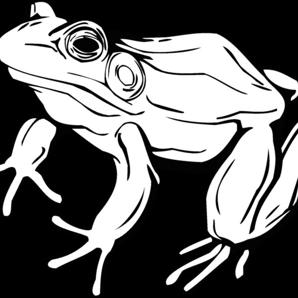 frog2 Thumbnail