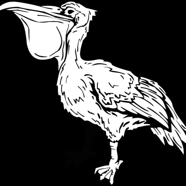 pelican Thumbnail