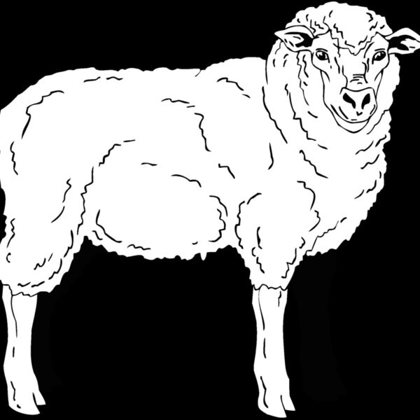 sheep2 Thumbnail
