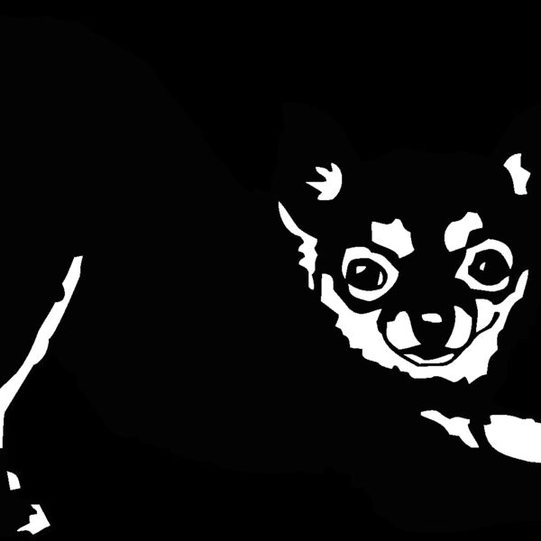 chihuahua3 Thumbnail