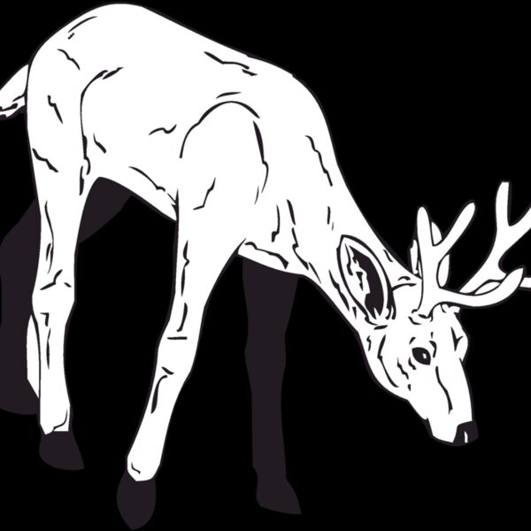 deer2 Thumbnail
