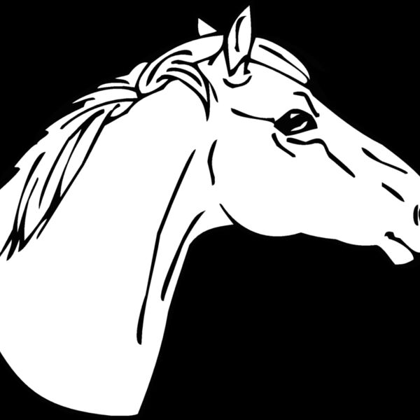 horsehead05 Thumbnail