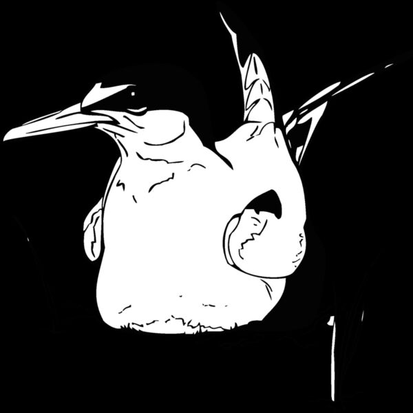 tern Thumbnail